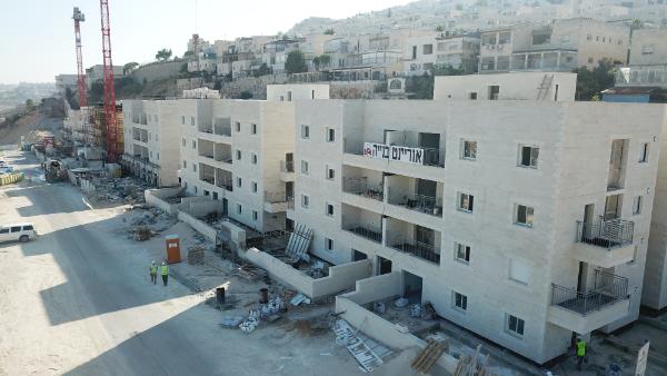 Read more about the article הסרת יריעות ביטומניות ישנות